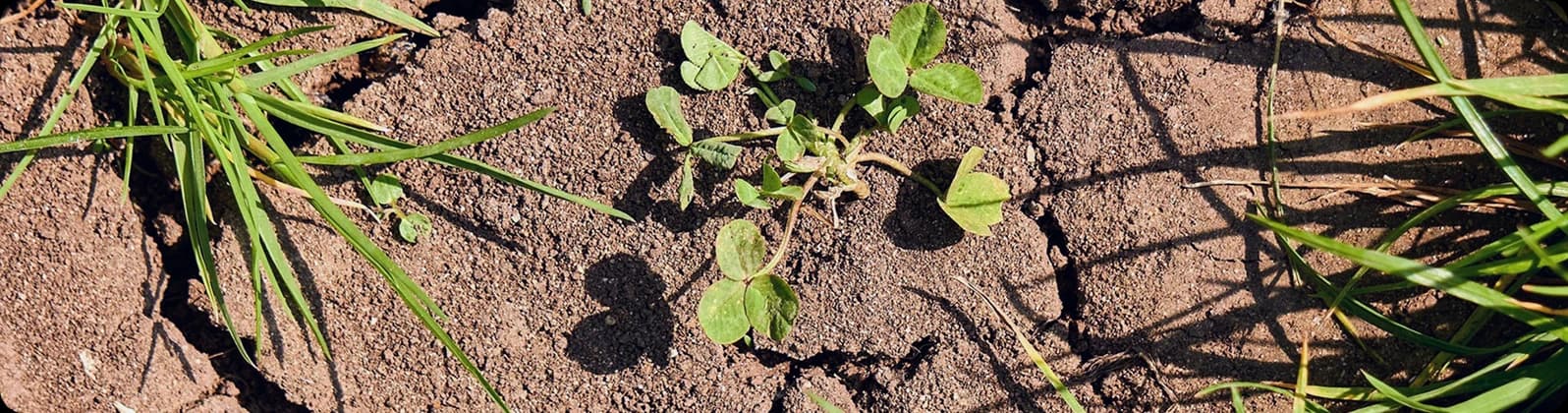 separator image convert